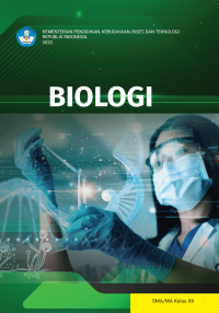Image of Biologi untuk SMA Kelas XII